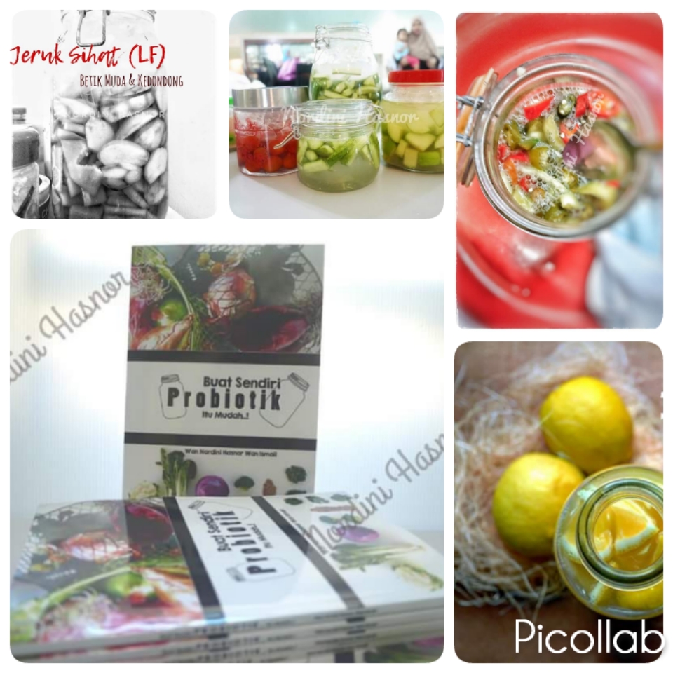Yogurt dan makanan probiotik buatan tangan oleh Kak Nung