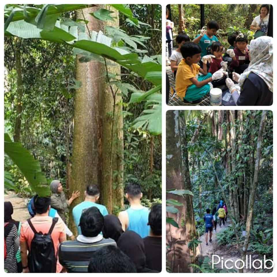 Denai dan pokok di Taman Tugu