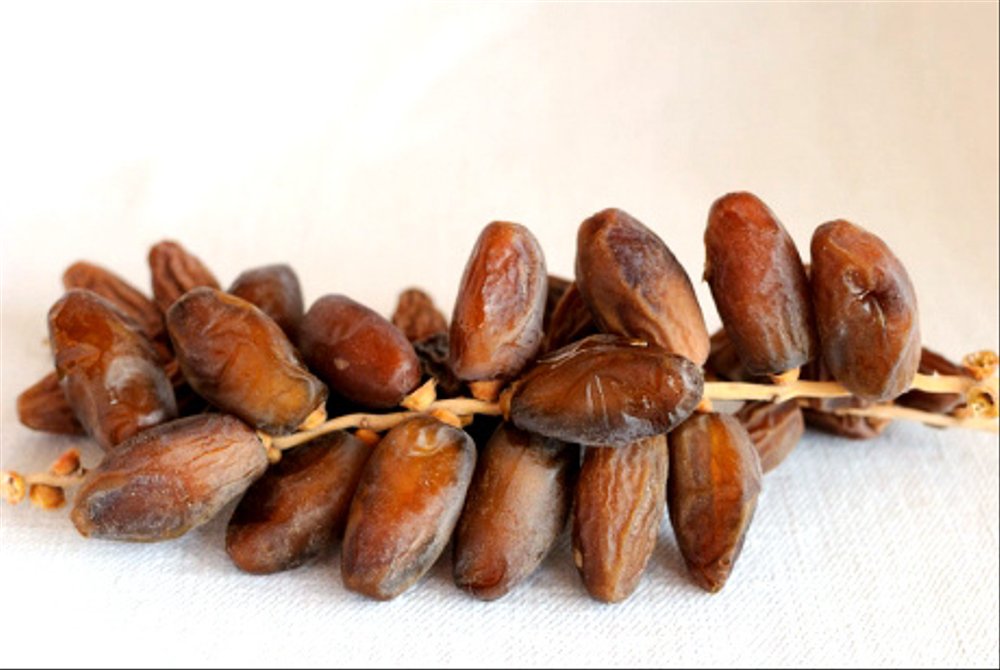 jenis kurma