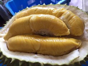 jenis durian