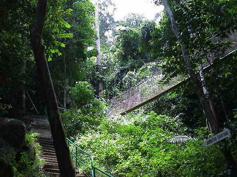 Jambatan Gantung di Pulau Pangkor