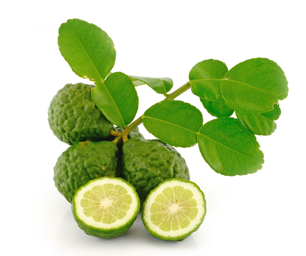Buah dan daun limau purut segar untuk kecantikan dan kegunaan masakan