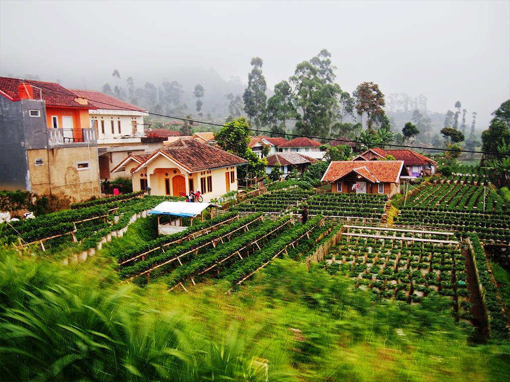 tanah tinggi