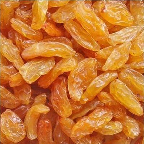 Bijirin kismis berwarna keemasan