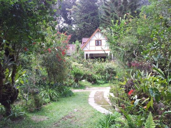 Taman bunga camellia di Tan's Camellia Garden Cameron Highlands