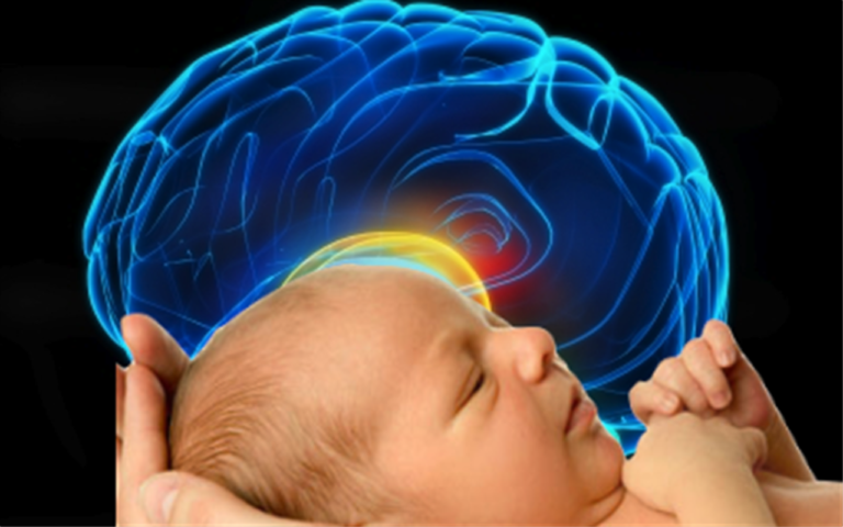 Gambar ilustrasi perkembangan sistem saraf dan otak bayi di dalam rahim