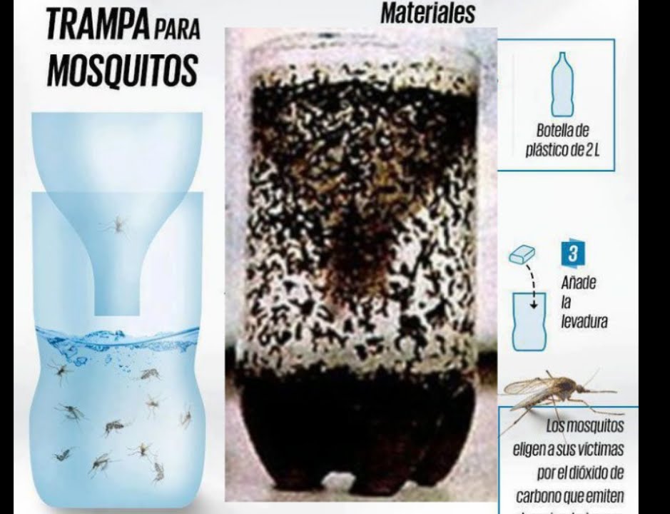 Pelbagai bahan mudah untuk membuat perangkap nyamuk DIY di rumah seperti botol plastik, limau dan cengkih.