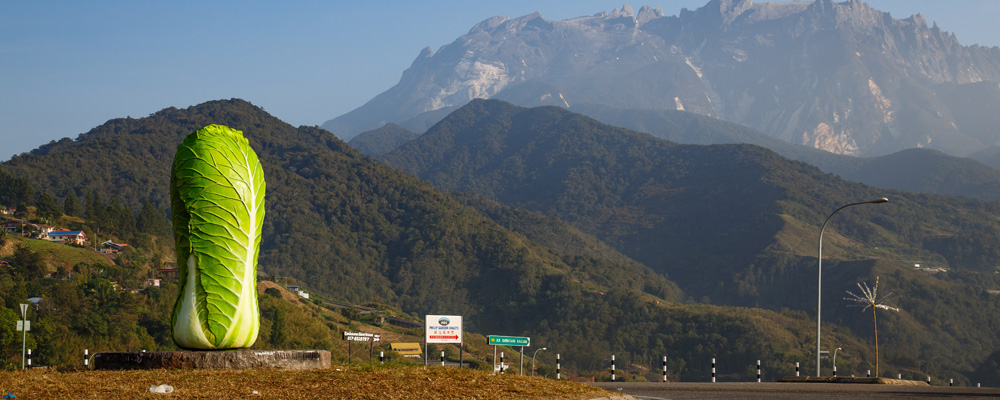 Pemandangan kediaman dan pergunungan di Kundasang