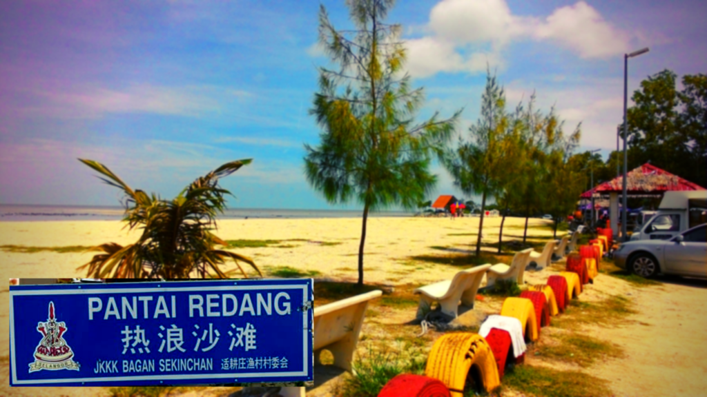 Pemanduan pantai Redang dengan pokok rhu dan air laut biru