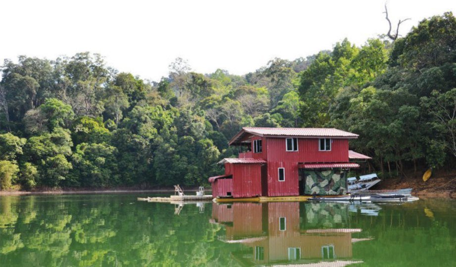 Pemandangan tasik di Tasik Pedu