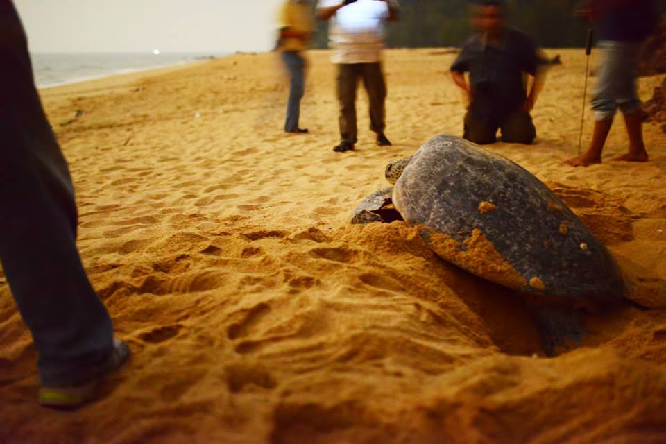 tempat menarik di kemaman