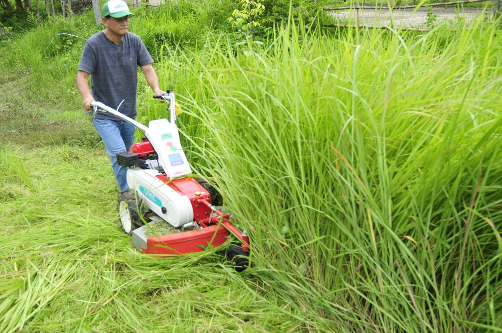 tips mesin rumput