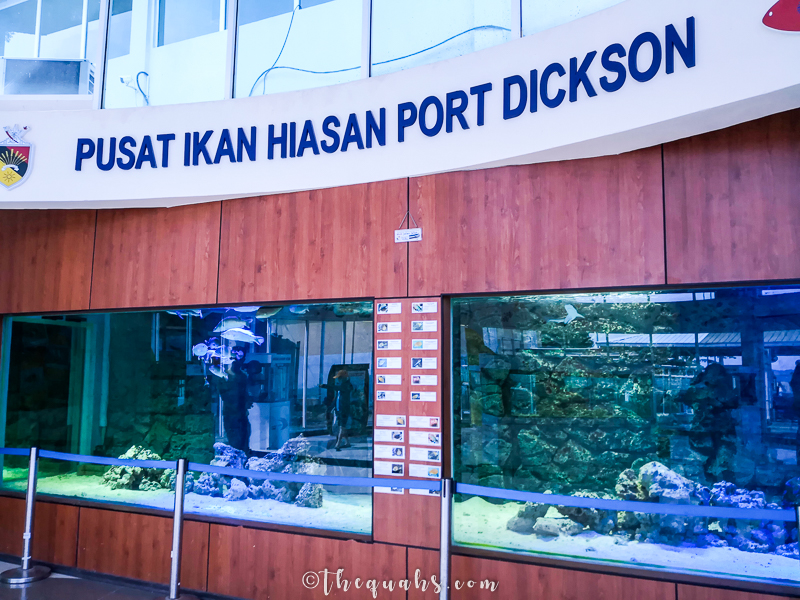 Tangki ikan hiasan di Pusat Ikan Hiasan Teluk Kemang