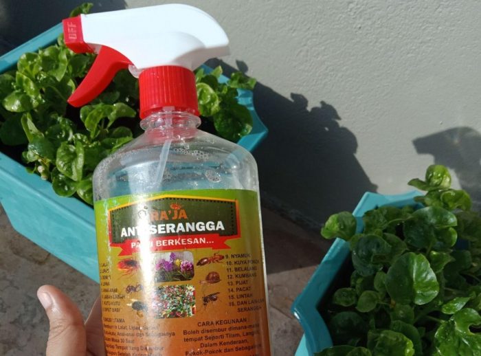 Botol racun serangga perosak