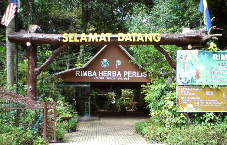 Kolesi pelbagai herba tradisional di Rimba Herba Perlis