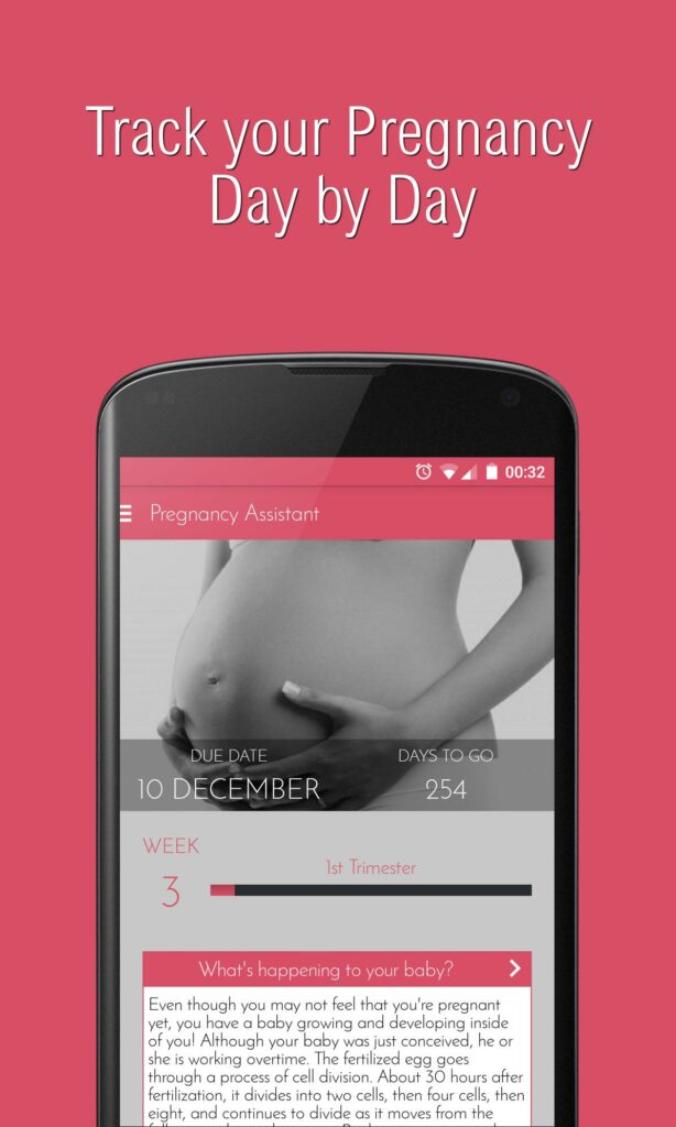Paparan skrin aplikasi Pregnancy Assistant