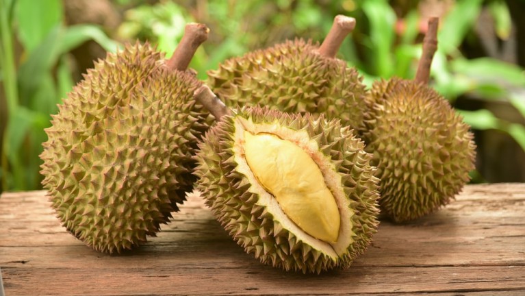 makanan yang menyebabkan keguguran