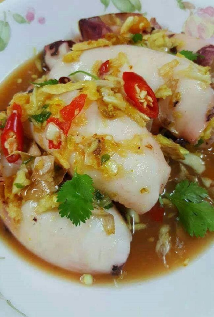 Gambar pelbagai hidangan masakan sotong yang sedap dan menarik untuk keluarga