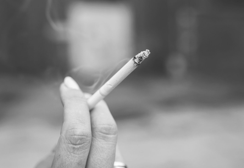 Ketulan petai segar untuk kurangkan ketagihan rokok