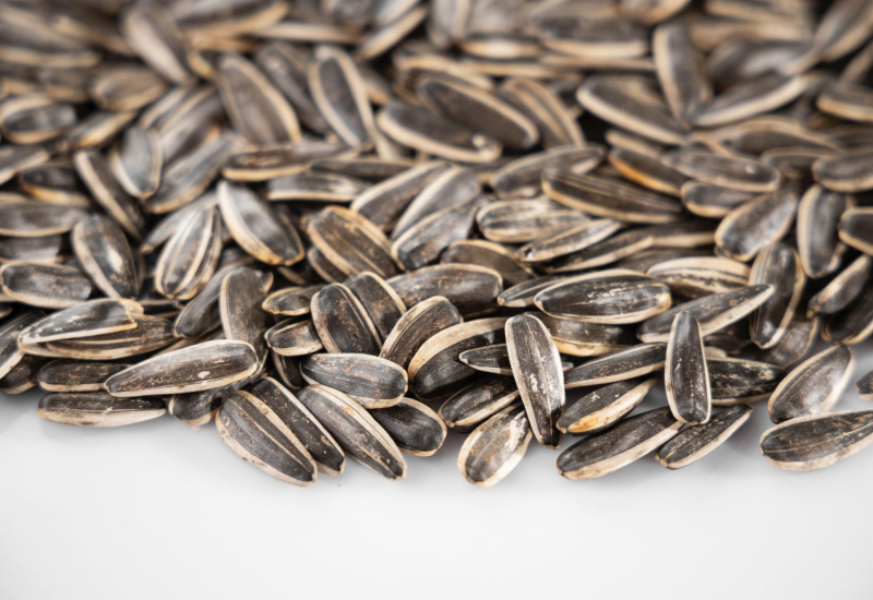 Makanan sumber Vitamin E seperti badam dan minyak