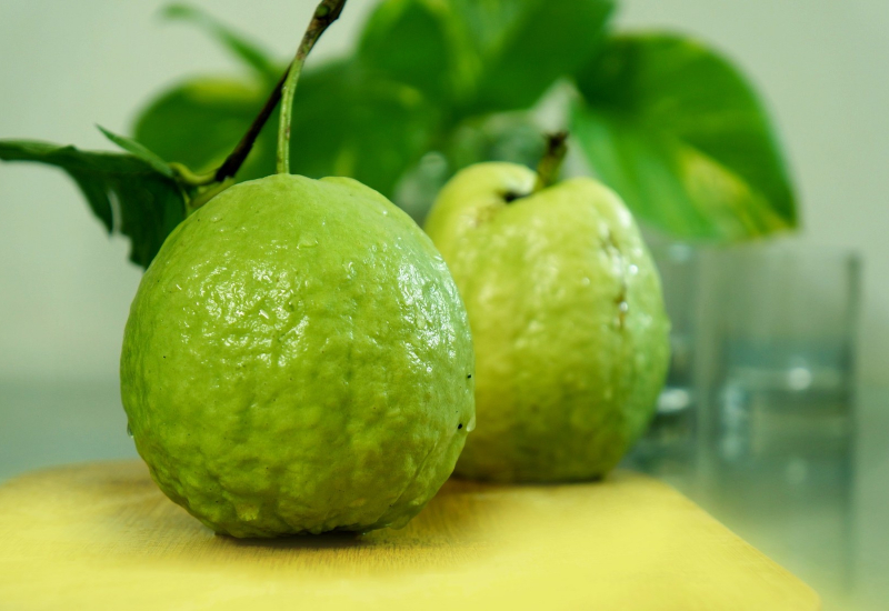 Buah jambu batu yang segar dipotong mempamerkan kandungan dalaman yang kaya dengan nutrisi.