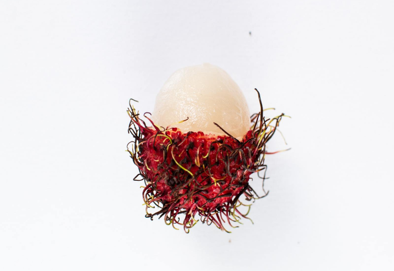 Buah rambutan berwarna merah segar yang sedang dikupas menunjukkan isi putih berjus