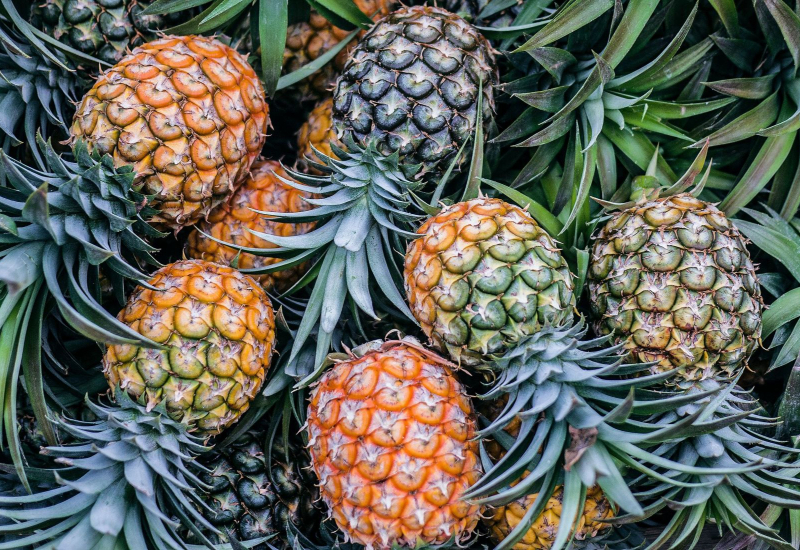 Buah nanas yang telah dipotong