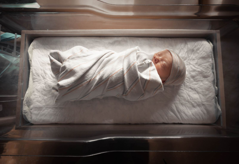Penyediaan herba pokok dukung untuk merawat jaundis bayi