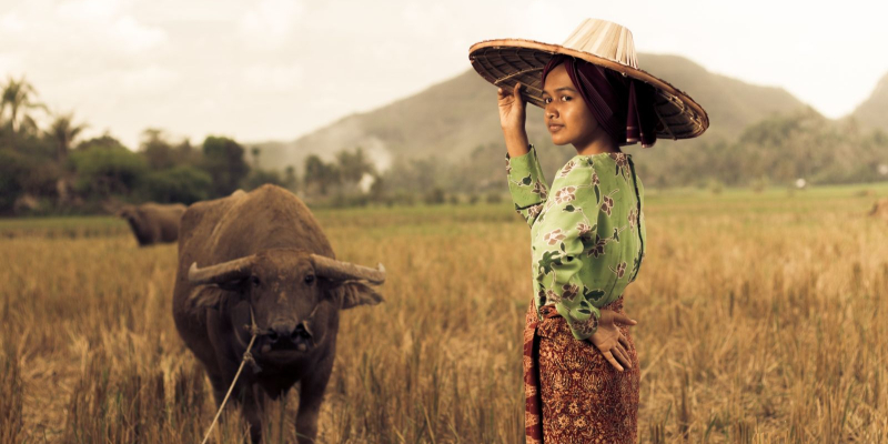 Gambar hirisan timun dan kelapa sebagai petua tradisional untuk kecantikan kulit wajah semula jadi.