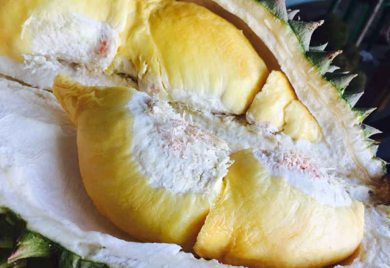 Buah durian terbuka bersama isi yang kuning