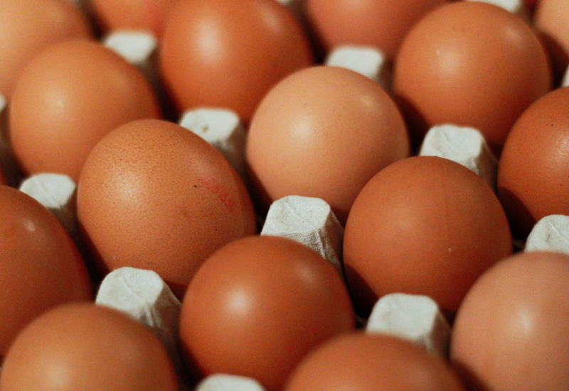 Pemecahan nutrisi telur ayam