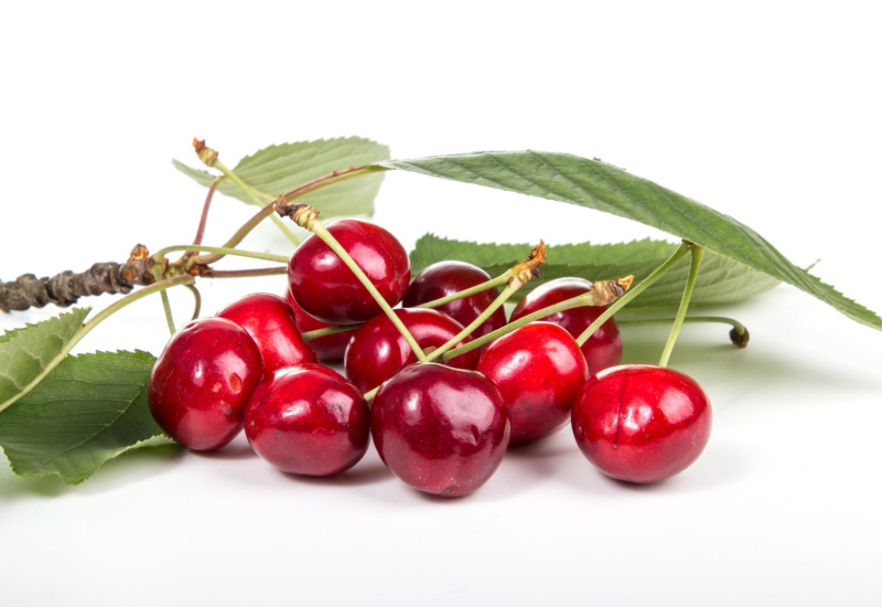 Mangkuk berisi buah ceri merah segar