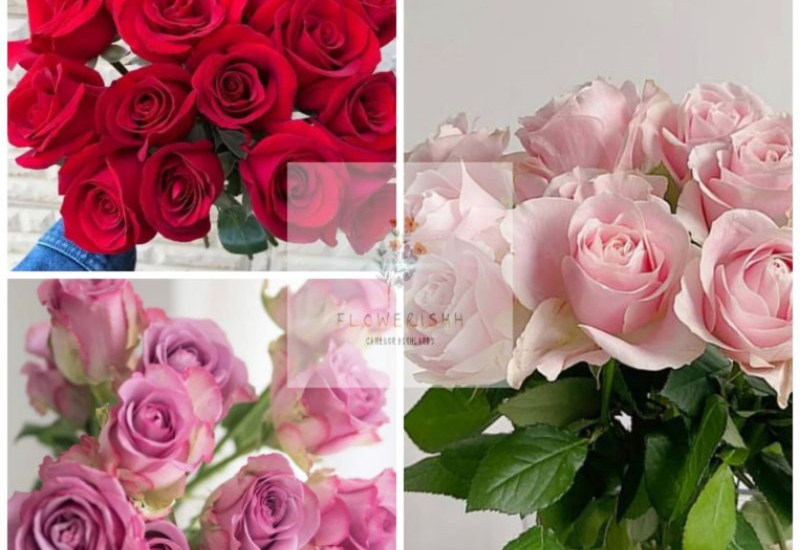 Buket bunga ros merah untuk hadiah