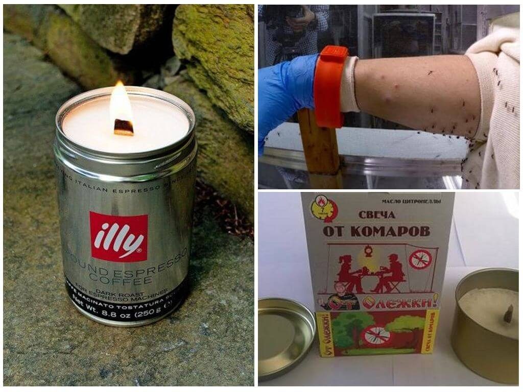 diy perangkap nyamuk