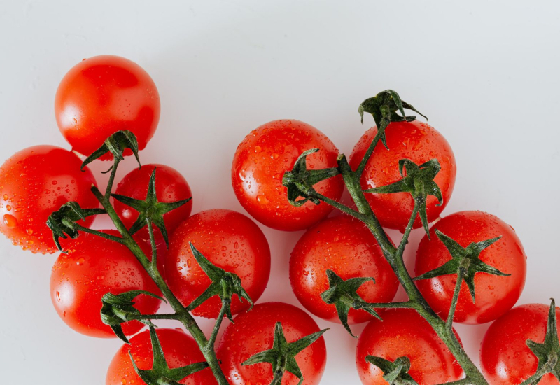 Beberapa biji tomato merah yang segar diletakkan berhampiran pokok tomato hijau.