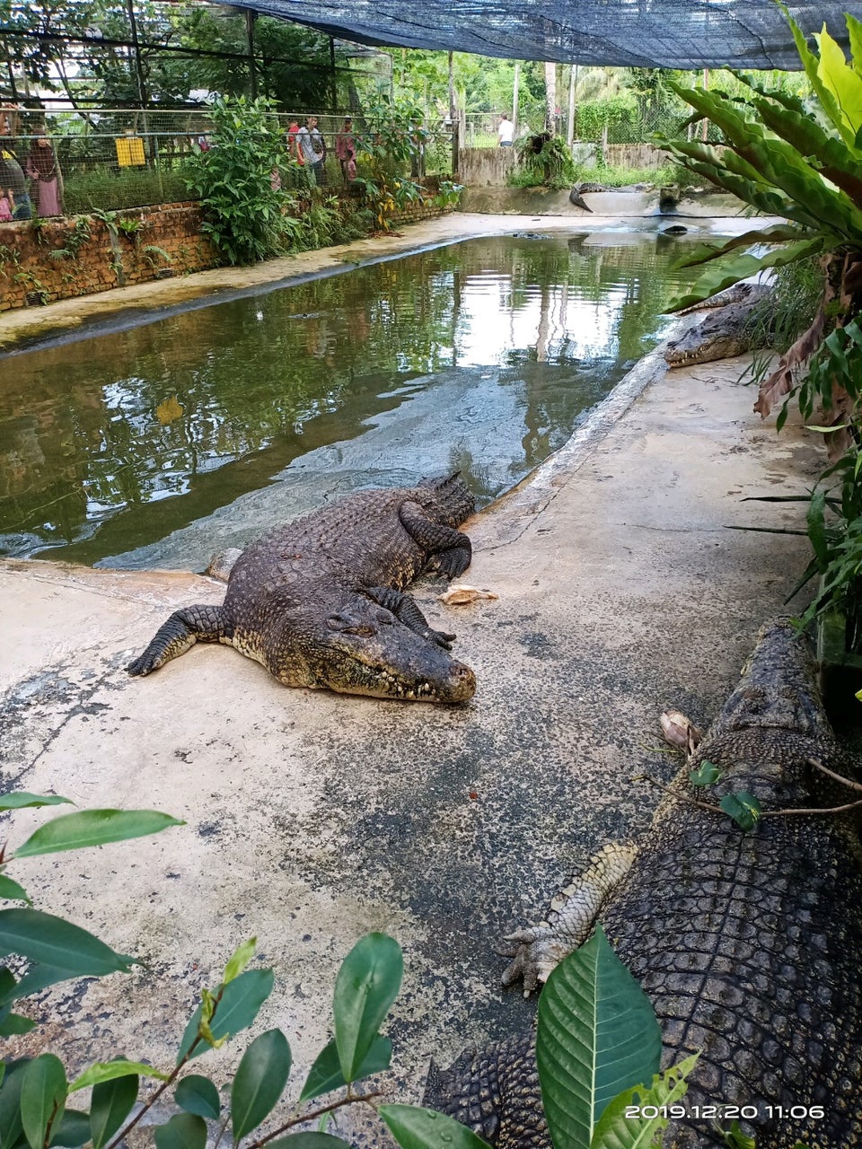 taman buaya sandakan