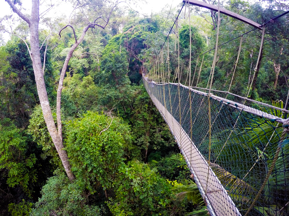 Taman Negara