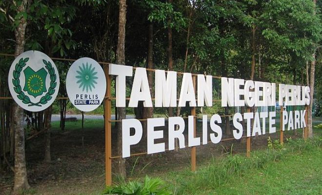 Kawasan hutan hijau Taman Negeri Perlis