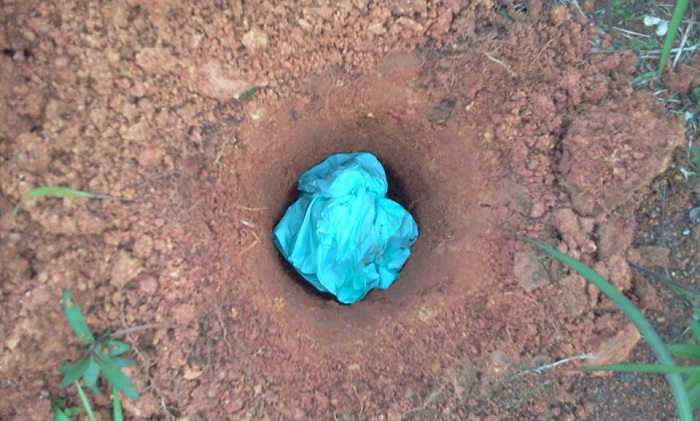 tanam uri
