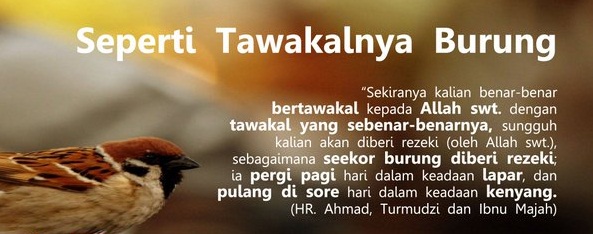 tawakal burung
