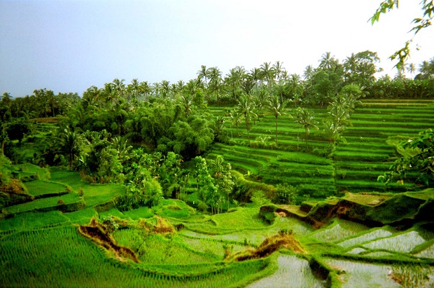 tempat menarik di lombok