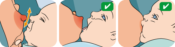 tips penyusuan
