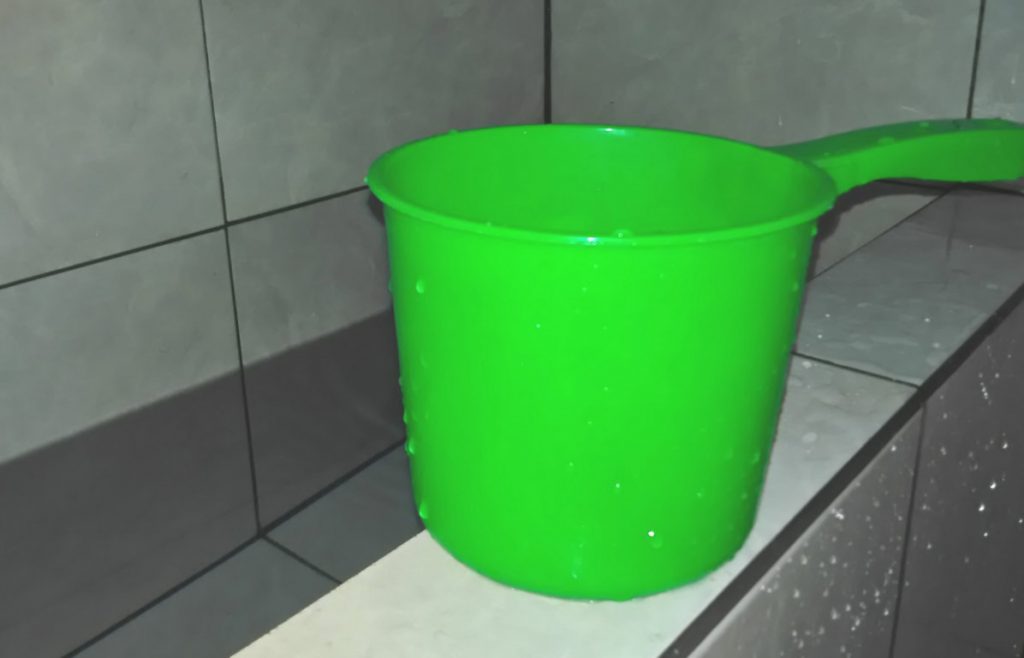 khasiat daun bidara