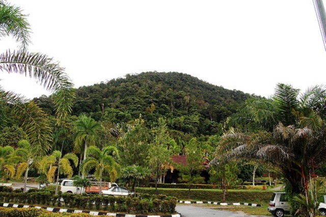 Bukit Tortoise Hill di Pulau Pangkor