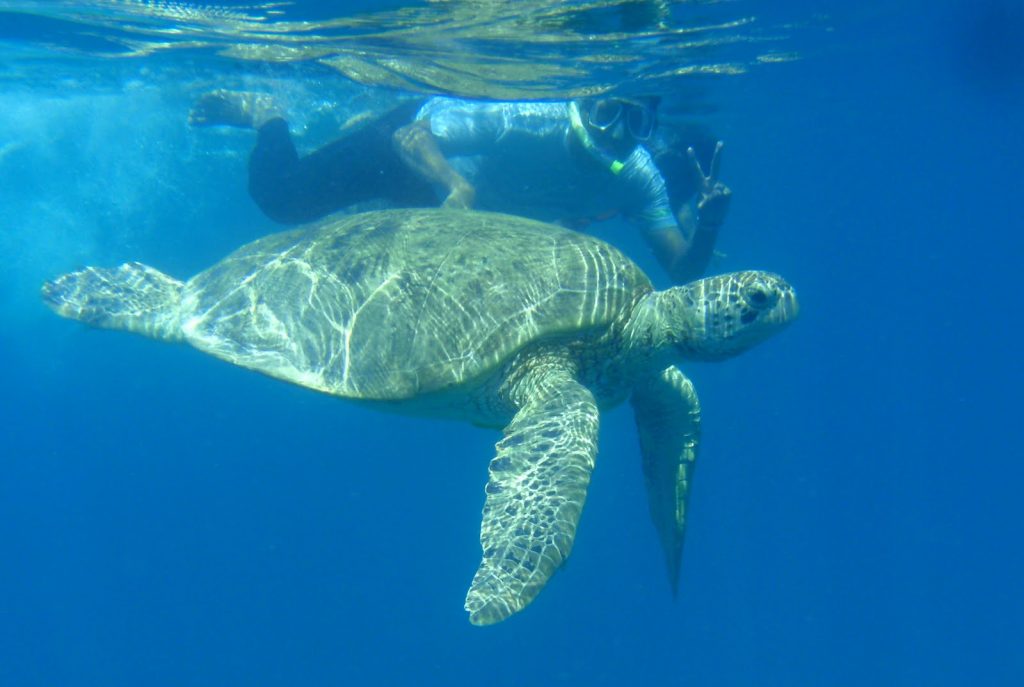 tempat menarik di pulau perhentian