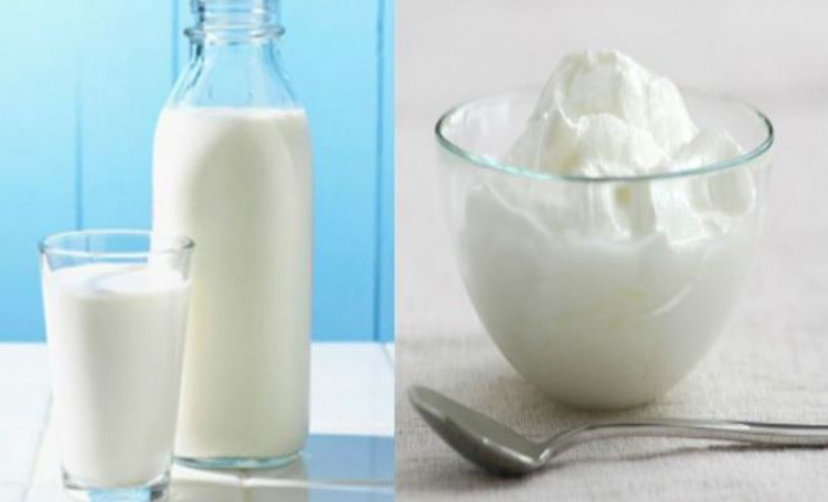 Gambar pelbagai jenis susu dan yogurt yang diletakkan di atas meja